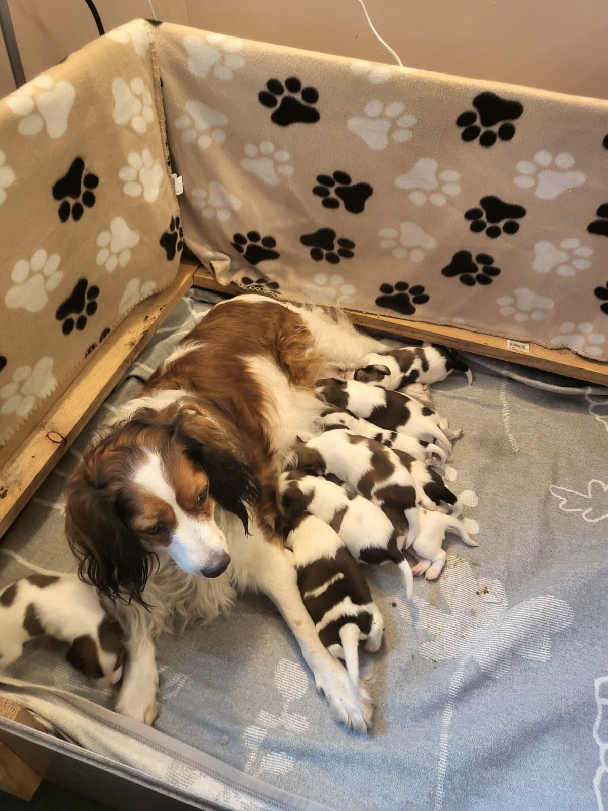 Geburt & erste Wochen