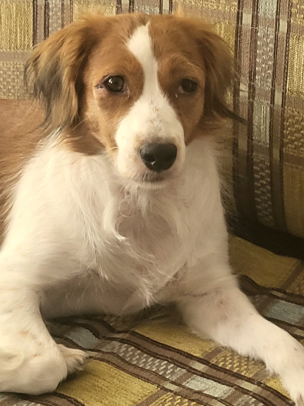 Ein Platz auf dem Sofa