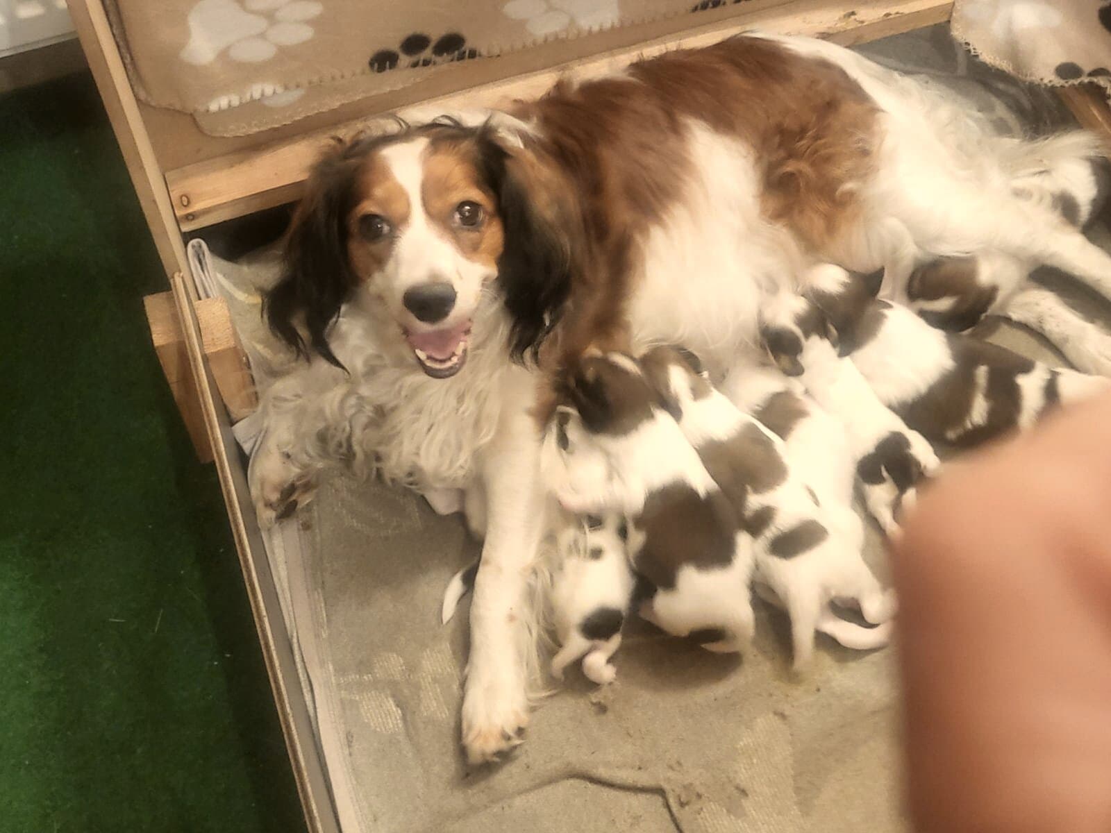 Mama mit ihrer Bande